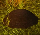 Dark Soil