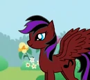 Ruby Rocks