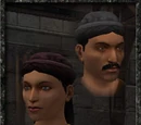 Saracen