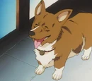 Ein