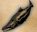 Giant Fish