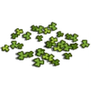 Ireland Event (2012)-icon.png