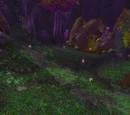 Lichtung von Ban'ethil