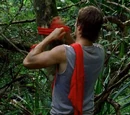 Redshirt