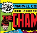 Champions Vol 1 6/Images