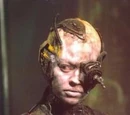 Seven of Nine