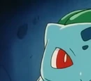 Nurse Joy's Bulbasaur