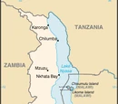 Malawian Cuisine