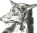 Badredd