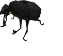 Small scarab