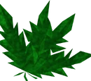 Doogle leaves