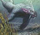 Aquatic Form
