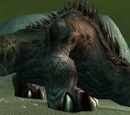 Dying Kodo