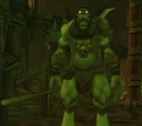 Lost One Riftseeker