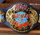 OWA World Heavyweight Championship (Online Wrestling Alliance)