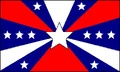 Flag of CSA / Confederacy