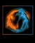 YIN YANG