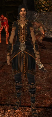Assassin - Level 20