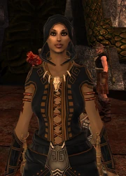 Assassin - Level 20 Close Up