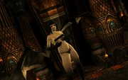 Censored NPC