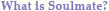 Image:soulmate_gtit01.gif