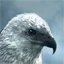 File:AssassinsCreed VisionsOfTheFuture.jpg