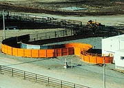 Grandin's interest in animal welfare began with designs for sweeping curved corrals intended to reduce stress in animals being led to slaughter.