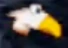 Image:eyerie.png