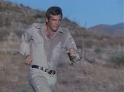 Steve races to get Bacon.