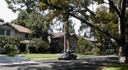 Lorraine's house (square window) and the tree that George fell from