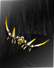 Image:CS03.gif