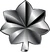 Lieutenant Colonel