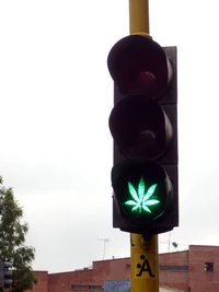 March 24, 2007. A stoplight in Bogotá, Colombia at the intersection of calle 127 and carrera 13.