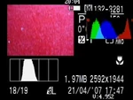RGB and luminance histograms