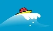 This is Yarr surfing.