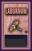 Laburnum Vendor