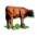 Image: Cattle.GIF