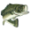 Image: Fish.GIF