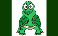 188px-Turtleflag.png