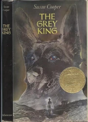 The Grey King, US 1st ed. dustwrapper