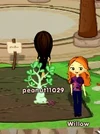 Growing plants