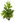 Eibe