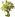 Eiche