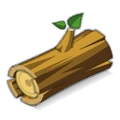 Ash Wood