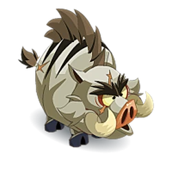 Aggressive Boar