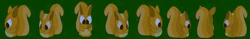 This is a squirrel from all sides