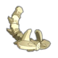 Spinal Cord