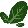 Trunknid Leaf