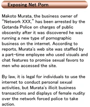 The Internet porn article.