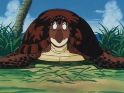 Turtle.